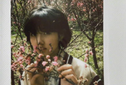 吃瓜爆料君郭麒麟,吃瓜爆料背后的娱乐圈风云